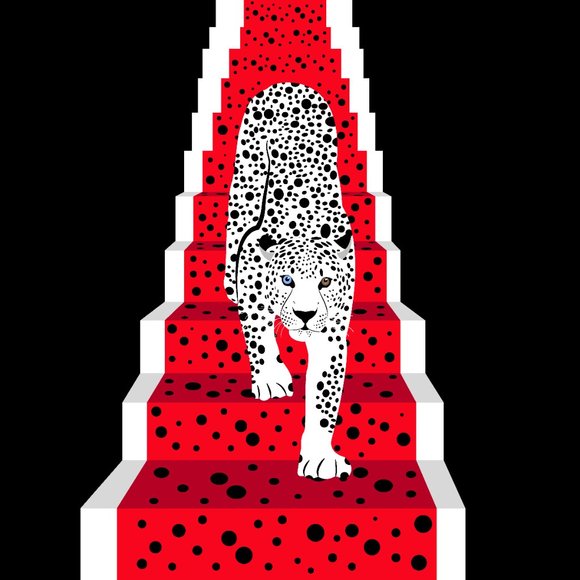 Albino Leopard - Picture 2 of 2